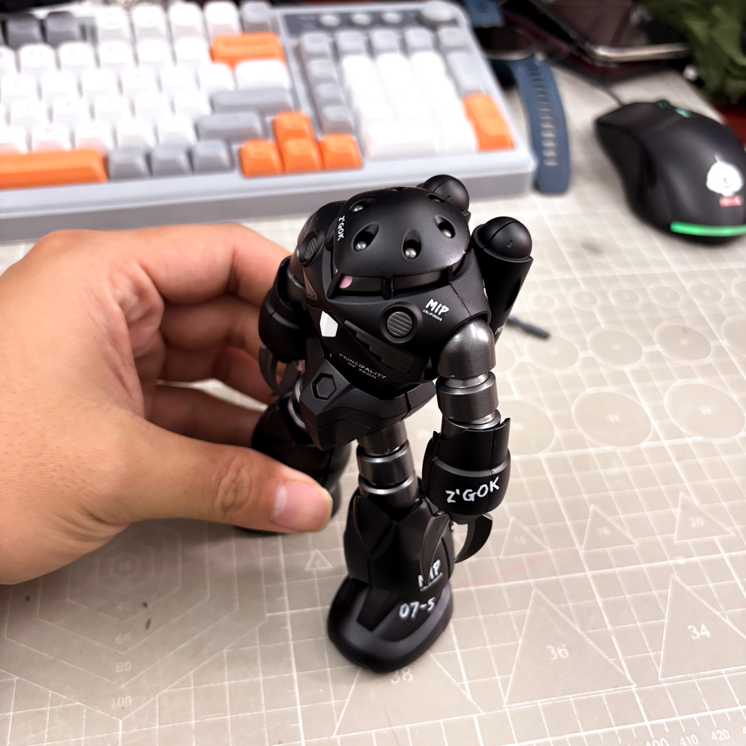 HG 1/144 Gundam MSM-07 Z'Gok 0 - Model Kit Pg บทวิจารณ์และราคา